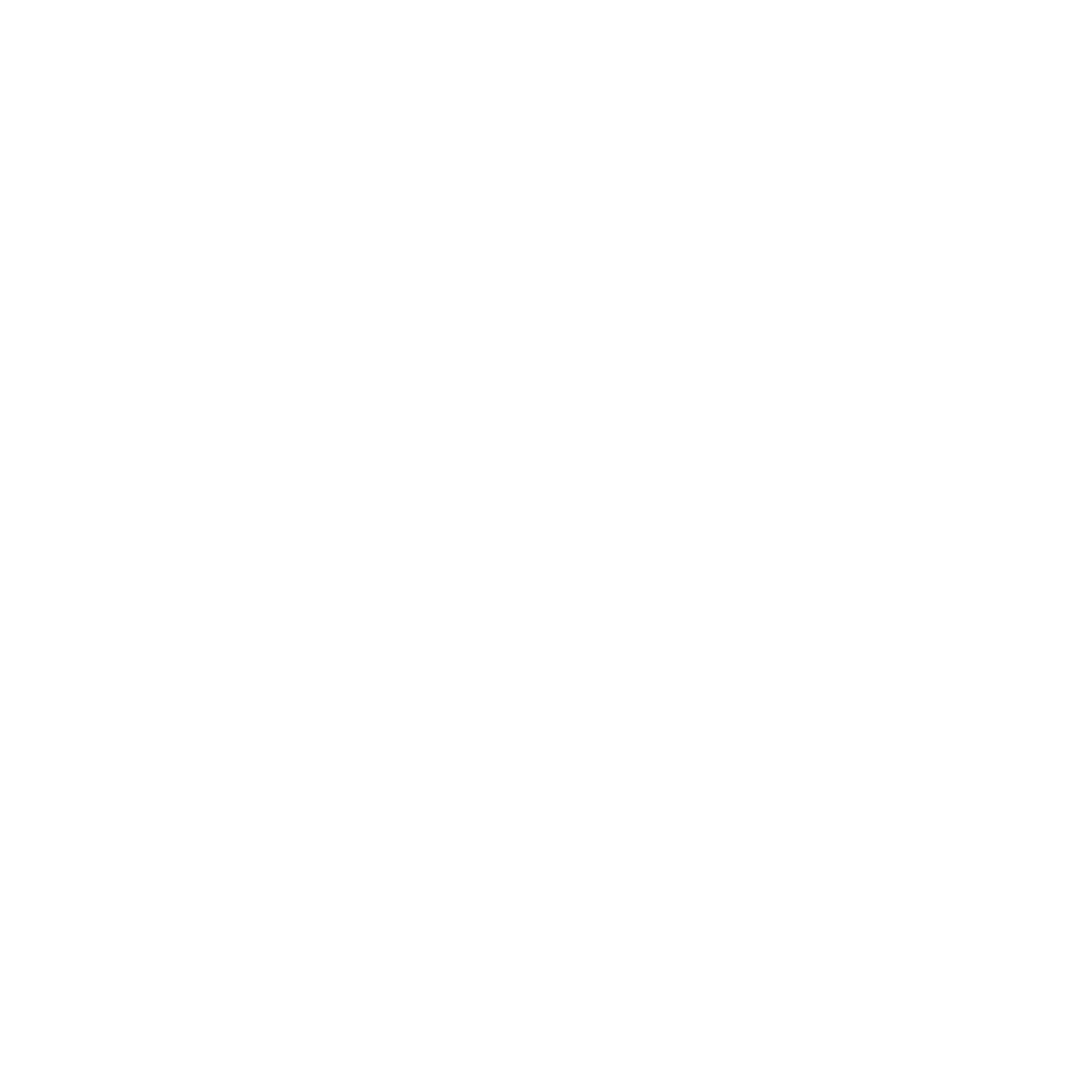 Logo Aeir